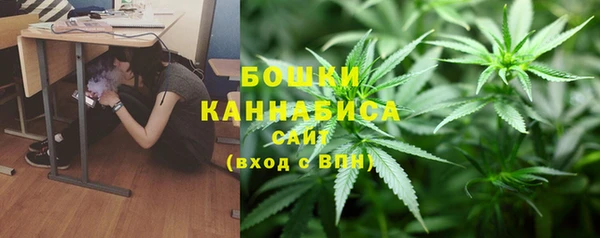 спайс Нея