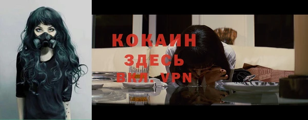 спайс Нея
